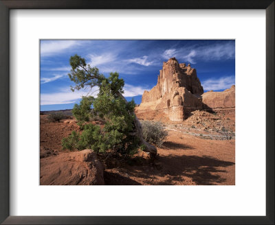 Sandstone Cliffs, Arches National Park, Moab, Utah, Usa by Lee Frost Pricing Limited Edition Print image