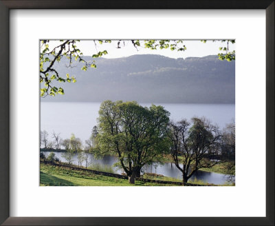 Loch Ness, Highland Region, Scotland, United Kingdom by Charles Bowman Pricing Limited Edition Print image