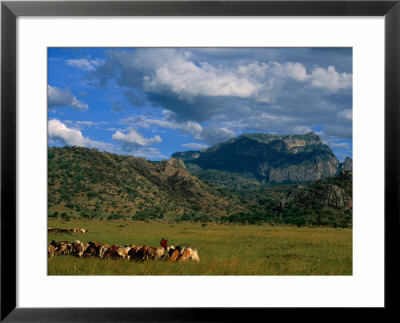 Karamojong Pastoral Land On Plains Below Mount Kadam, Uganda by Ariadne Van Zandbergen Pricing Limited Edition Print image