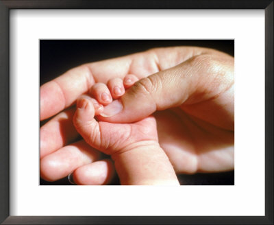 Man's Hand Holding Baby's Hand by Mitch Diamond Pricing Limited Edition Print image