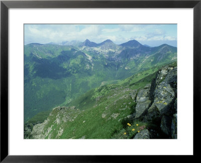 High Tatra Mountains National Park, Slovakia by Richard Packwood Pricing Limited Edition Print image