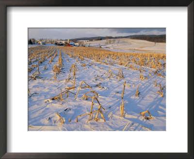 Corn Stubble In A Wintery Pennsylvania Landscape by Raymond Gehman Pricing Limited Edition Print image