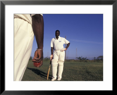 St. John's International Cricket Match, Antigua, Caribbean by Greg Johnston Pricing Limited Edition Print image