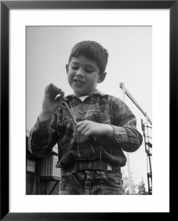 Little Boy Holding His New Pet Snake by Carl Mydans Pricing Limited Edition Print image