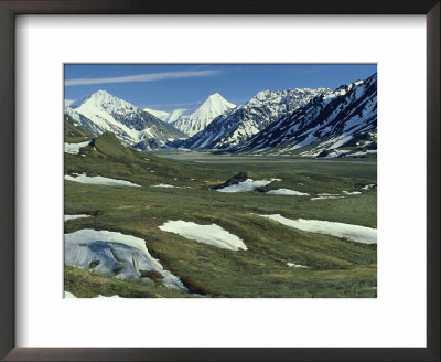 Patches Of Snow In Spring Thaw In Foothills Of Alaska Range, Alaska, Usa by Richard Packwood Pricing Limited Edition Print image