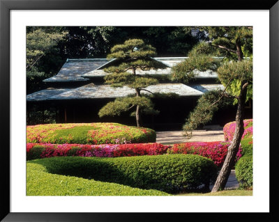 Azaleas At The Imperial Palace East Gardens, Tokyo, Japan by Nancy & Steve Ross Pricing Limited Edition Print image