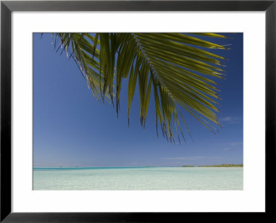 Fakarawa, Tuamotu Archipelago, French Polynesia Islands by Sergio Pitamitz Pricing Limited Edition Print image