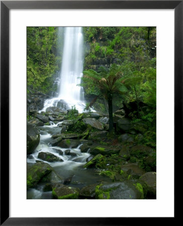 Erskine Falls, Waterfall In The Rainforest, Great Ocean Road, South Australia, Australia by Thorsten Milse Pricing Limited Edition Print image