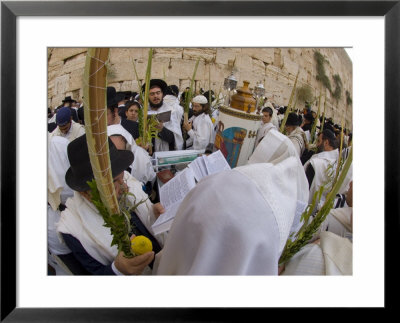 Sukot Festival, Jews In Prayer Shawls Holding Lulav And Etrog, Praying By The Western Wall, Israel by Eitan Simanor Pricing Limited Edition Print image