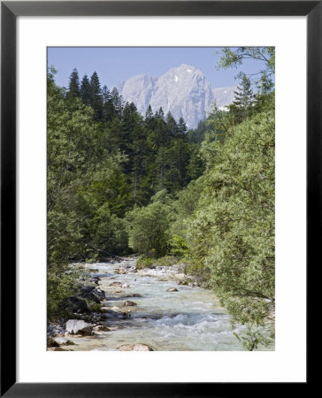 Bistrica River And Forest With Stenar Mountain Beyond In Summer, Triglav National Park, Mojstrana by Pearl Bucknall Pricing Limited Edition Print image