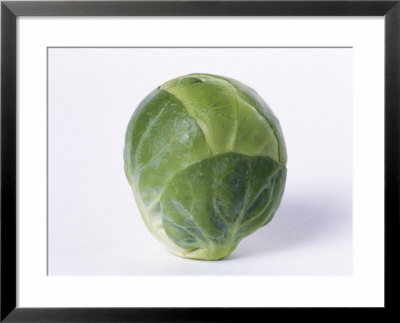 A Single Brussels Sprout by Cyndy Black Pricing Limited Edition Print image