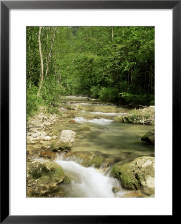 Gorges D'omblez, Near La Chapelle En Vercors, Drome, Rhone Alpes, France by Michael Busselle Pricing Limited Edition Print image