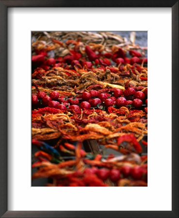 Chillies And Tomatoes Drying,Sicily, Italy by Dallas Stribley Pricing Limited Edition Print image