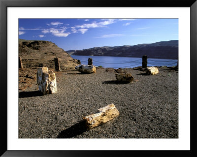View Of Columbia River, Ginkgo Petrified Forest State Park, Vantage, Washington, Usa by Jamie & Judy Wild Pricing Limited Edition Print image