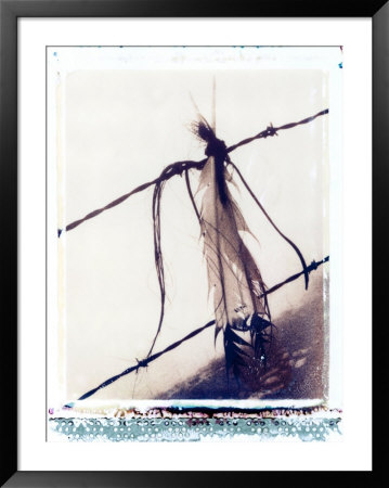 Feather And Hair Suspended On Barbed Wire by John Glembin Pricing Limited Edition Print image