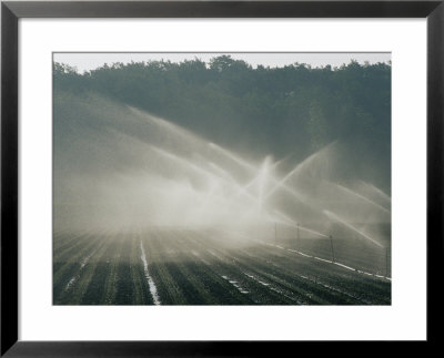 Field Irrigation, Provence Region, France by Nicole Duplaix Pricing Limited Edition Print image