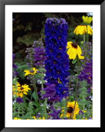 Flowers, Ak by Mike Robinson Pricing Limited Edition Print image