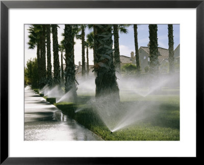 Residents Water Their Lawns by Maria Stenzel Pricing Limited Edition Print image