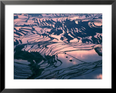 Water-Logged Rice Terraces At Sunset, Yunnan Province, China by Keren Su Pricing Limited Edition Print image