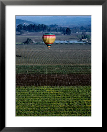 Hot Air Ballooning Over Fields, Napa Valley, Usa by Lee Foster Pricing Limited Edition Print image
