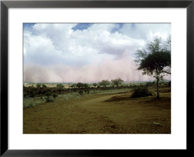 Dust Storm Approaching At Lion Hill, Kenya by Malcolm Coe Pricing Limited Edition Print image