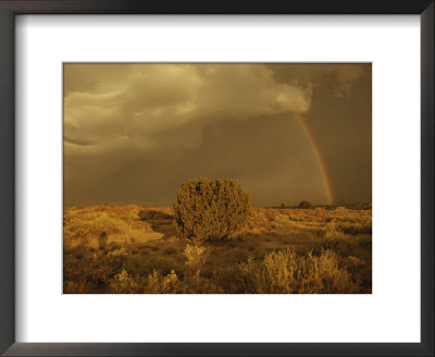 A Rainbow Appears As A Storm Approaches A Sagebrush-Covered Mesa by Paul Damien Pricing Limited Edition Print image