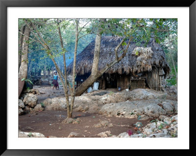 Young Girls Outside Of Their Mayan Home, Campamento Hidalgo, Mexico by Lisa S. Engelbrecht Pricing Limited Edition Print image