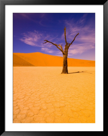 Skeleton Trees In Dead Vlei, Namibia World Heritage Site, Namibia by Michele Westmorland Pricing Limited Edition Print image