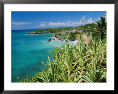 Guadeloupe, French Antilles, West Indies, Caribbean by J P De Manne Pricing Limited Edition Print image