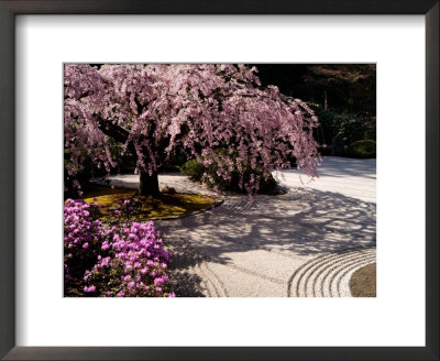 Japanese Gardens In Washington Park, Portland, Oregon, Usa by Janis Miglavs Pricing Limited Edition Print image