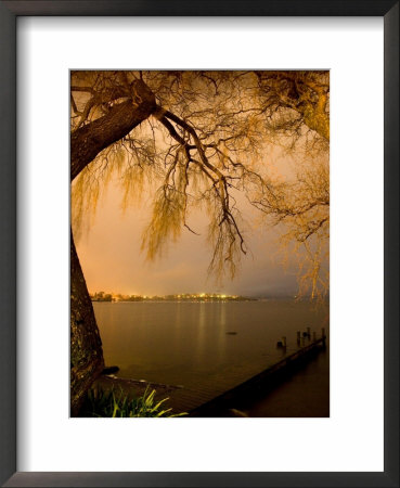 City Lights Across Lake Rotorua, Rotorua, Bay Of Plenty, North Island, New Zealand by David Wall Pricing Limited Edition Print image