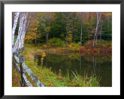Fall Colors In The Galton Pond, Gralton, Vermont, Usa by Joe Restuccia Iii Pricing Limited Edition Print image