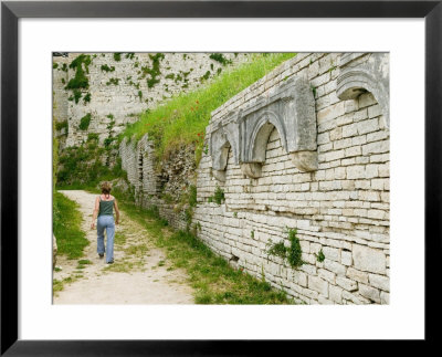 Tourist By Historic Ruins, Istria, Croatia by Russell Young Pricing Limited Edition Print image