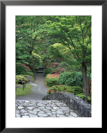 Japanese Garden Stone Bridge In Washington Park Arboretum, Seattle, Washington, Usa by Jamie & Judy Wild Pricing Limited Edition Print image