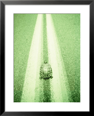 Turtle Strolling Down The Road by Henryk T. Kaiser Pricing Limited Edition Print image