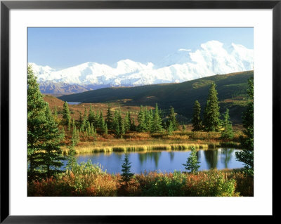 Snow-Capped Mount Mckinley And Beaver Pond, Alaska by Daniel Cox Pricing Limited Edition Print image