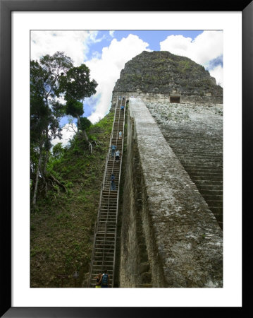 Temple V, Tikal Ruins, Guatemala by Keren Su Pricing Limited Edition Print image