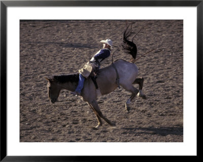 Cowboy Riding Bareback Bronco In Rodeo Competition, Big Timber, Montana, Usa by John & Lisa Merrill Pricing Limited Edition Print image