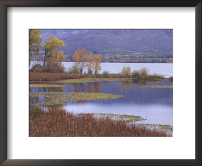 Osoyoos Lake And Desert Hills In Oroville, Washington, Usa by Jamie & Judy Wild Pricing Limited Edition Print image