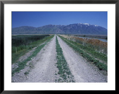 Dike Road At Bear River Migratory Bird Refuge, Great Salt Lake, Brigham City, Utah, Usa by Jerry & Marcy Monkman Pricing Limited Edition Print image