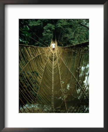 A Vine Bridge Resembling A Spiders Web Near Mamfe, Mamfe, Sud-Ouest, Cameroon by David Wall Pricing Limited Edition Print image