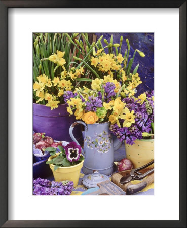Spring Still Life With Yellow & Blue Jugs Of Narcissus (Daffodil) by Linda Burgess Pricing Limited Edition Print image