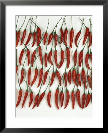 Chili Peppers Lined Up by Dorey Cardinale Pricing Limited Edition Print image