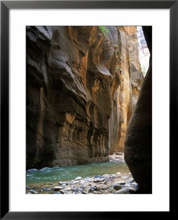 The Virgin River Flows Through Narrows Canyon In Zion National Park, Utah by Stacy Gold Pricing Limited Edition Print image