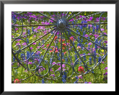 Wheel Gate And Fence With Blue Bonnets, Indian Paint Brush And Phlox, Near Devine, Texas, Usa by Darrell Gulin Pricing Limited Edition Print image
