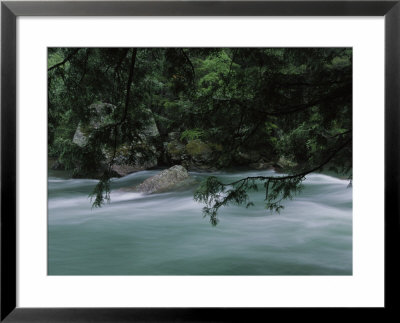 Mc Donald Creek Rushes Past Rocks And Hemlock by Raymond Gehman Pricing Limited Edition Print image