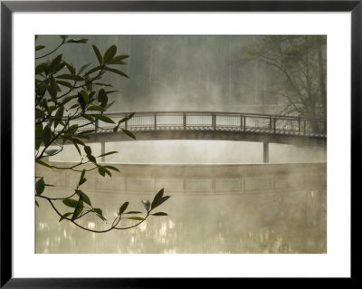 Pond In Fog With Bridge, Callaway Gardens, Georgia, Usa by Nancy Rotenberg Pricing Limited Edition Print image
