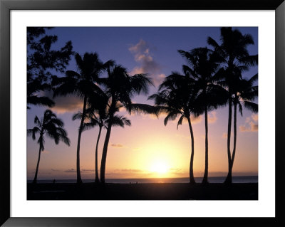 Palm Trees In Silhouette During Sunset On Oahu, Hawaii by Richard Nowitz Pricing Limited Edition Print image