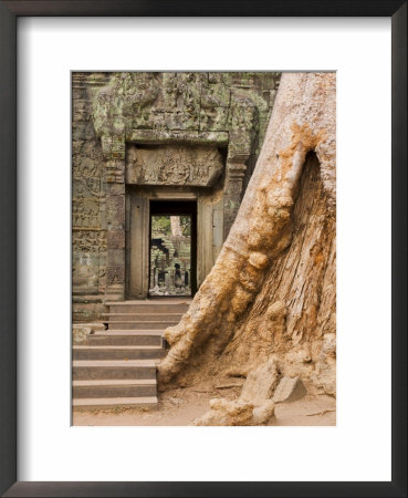 Ta Prohm Temple, Angkor, Unesco World Heritage Site, Indochina, Southeast Asia by Jochen Schlenker Pricing Limited Edition Print image