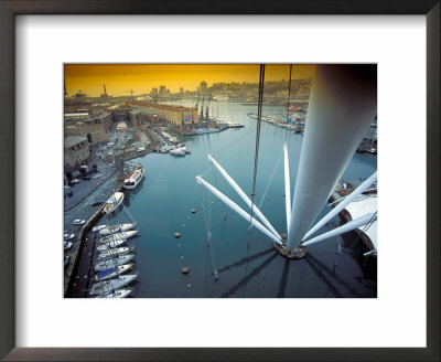 Genoa Aquarium, Italy by Alessandro Gandolfi Pricing Limited Edition Print image